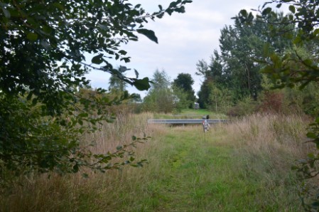 Weg zum Übergang zugewachsen